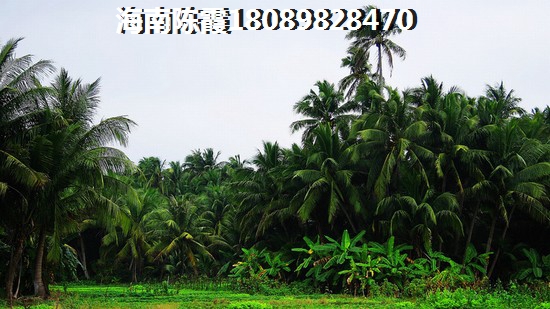 云南过冬别墅生纸优势分析！